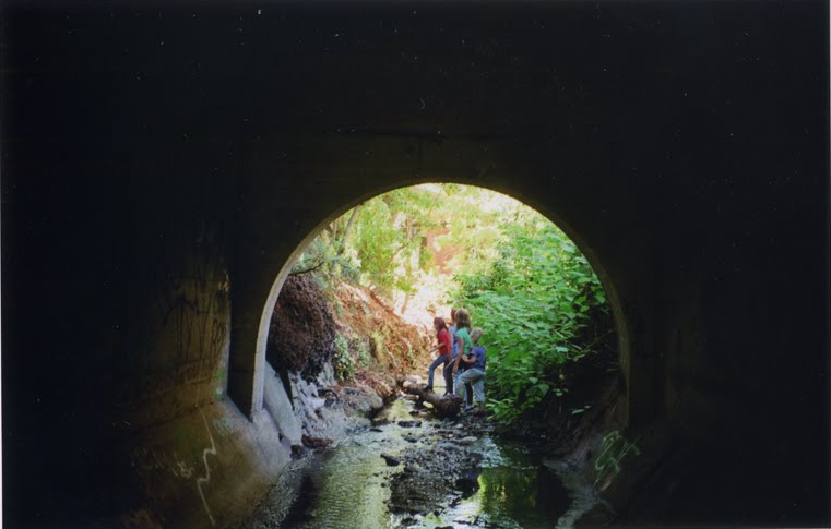 http://www.davidwilsonandribbons.com/files/gimgs/26_picture-6.png